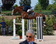 DEL CISTIA DEAUVILLE CampITA2013- S5 0599 : Campionati Italiani 2013, Cattolica, DEAUVILLE B.B., DEL CISTIA MARCO, Horse Riviera Resort, foto di Stefano Secchi ©